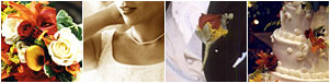 Wedphotos